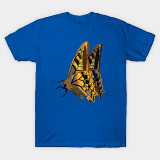 Spirograph Collage yellow and brown butterfly T-Shirt